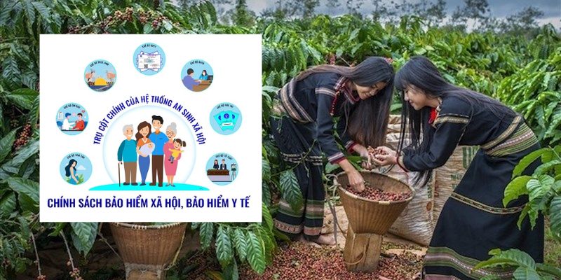 Đóng bảo hiểm xã hội bằng cà phê